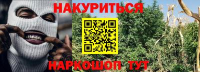 индика Свободный