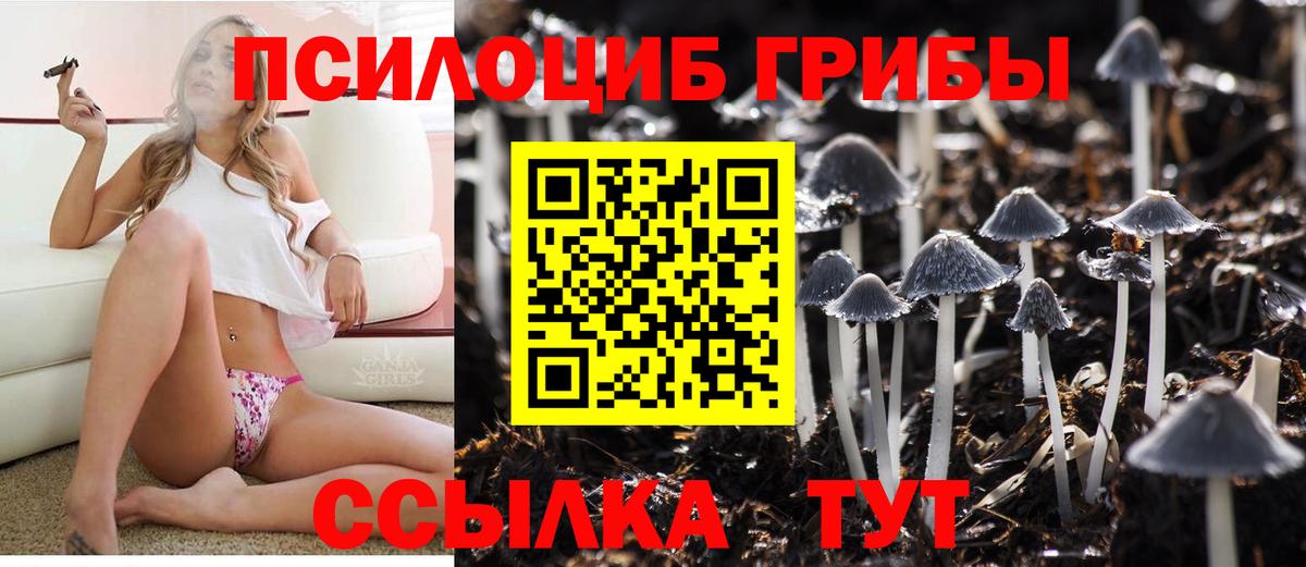 Петропавловск-Камчатский  Псилоцибиновые грибы Cubensis  Вход с VPN  Псилоцибиновые грибы мицелий 